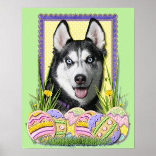 Poster Biscuits d'oeuf de pâques - chien de traîneau