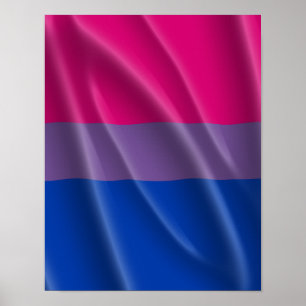 Poster BISEXUAL FIDE FLAG WAVY DESIGN - PRIDE.png 2014