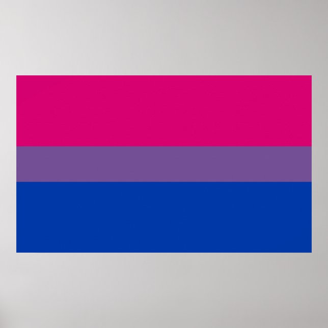 Poster Bisexual pride (Devant)