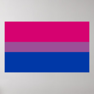 Poster Bisexual pride