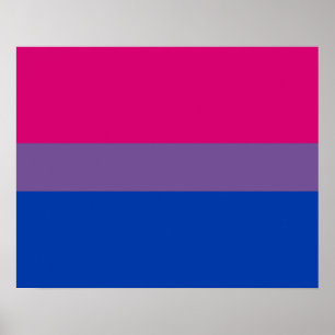 Poster Bisexualité drapeau