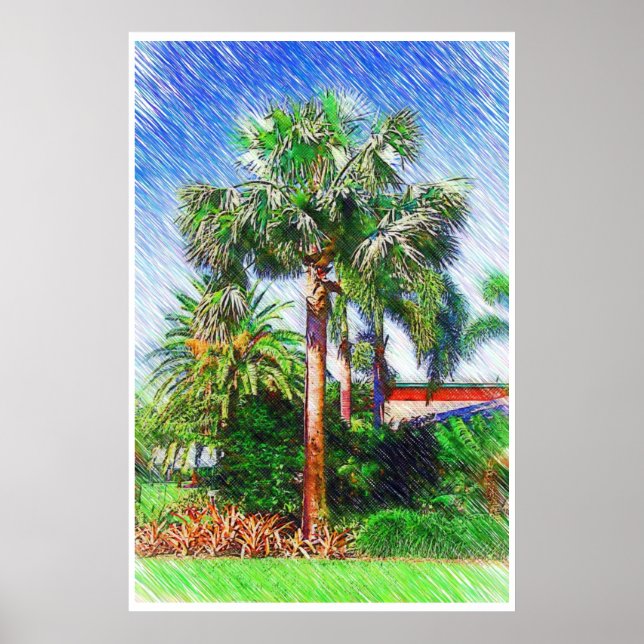 Poster Bismarckia nobilis palmier, dessin au crayon de co (Devant)
