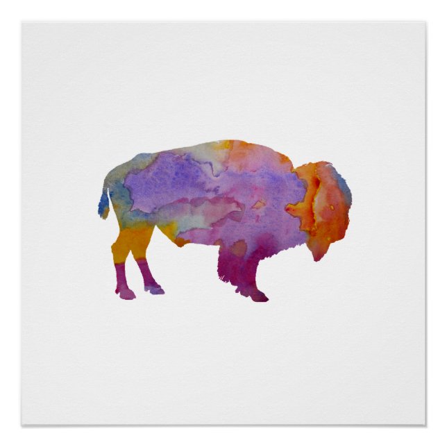 Poster Bison (Devant)