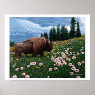 Poster Bison américain - "aucun temps pour des fleurs "