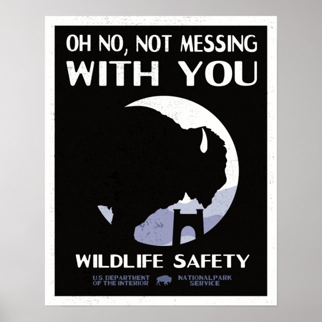 Poster Bison de la sécurité de la faune du parc national  (Devant)