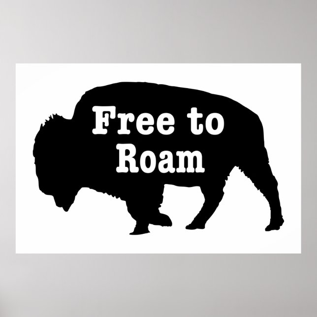 Poster Bison libre de Roam (Devant)