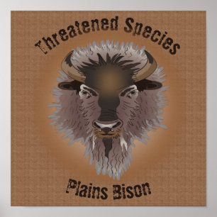 Poster Bison rustique des plaines de l'Ouest