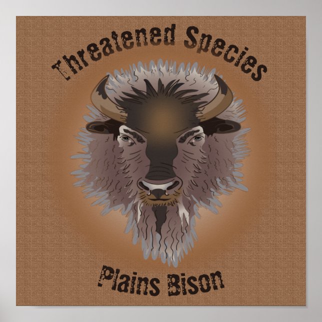 Poster Bison rustique des plaines de l'Ouest (Devant)