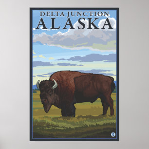 Poster Bison Scene - Delta Junction, Alaska