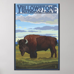 Poster Bison Scene - Parc national de Yellowstone