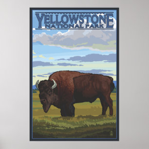 Poster Bison Scene - Parc national de Yellowstone