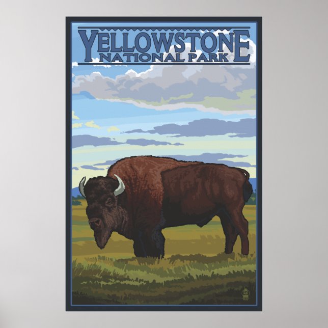 Poster Bison Scene - Parc national de Yellowstone (Devant)
