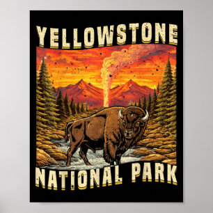 Poster Bisons femelles du parc national de Yellowstone