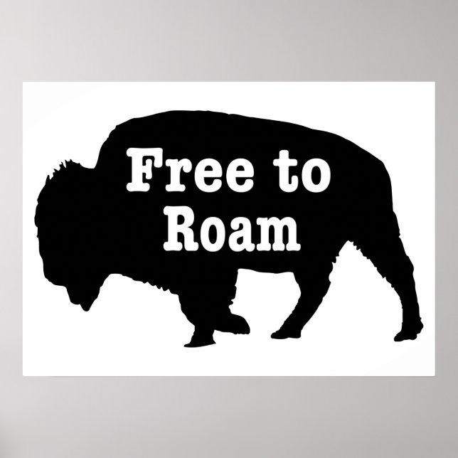 Poster Bisons libres de se promener (Devant)