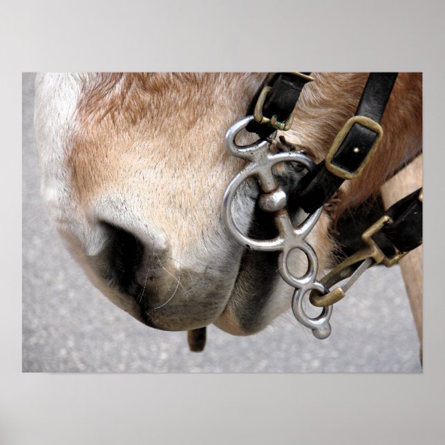 Poster Bit de conduite (Devant)