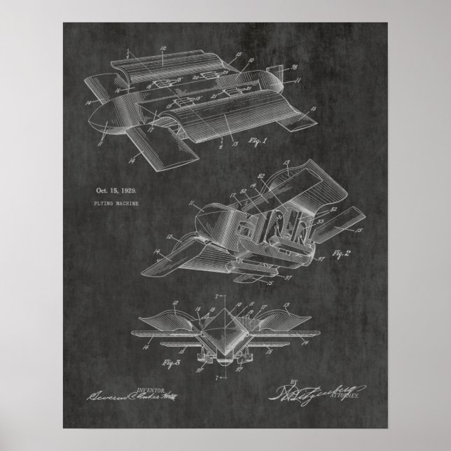 Poster Bizarre 1929 Brevet d'avion Art Dessin Imprimer (Devant)
