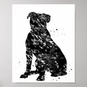 Poster Black American bulldog Photo   Cool présent