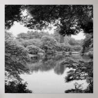 Black and white, cool, unique nature et lake