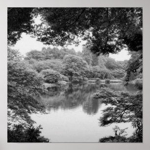Poster Black and white, cool, unique nature et lake