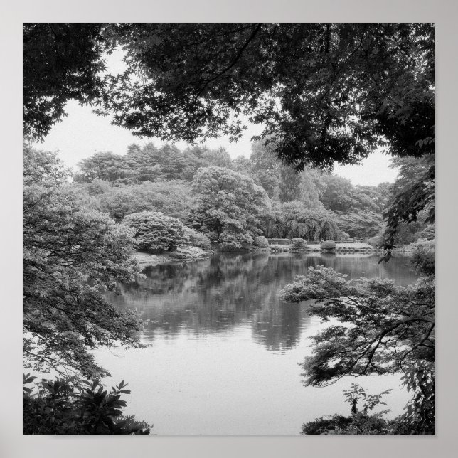 Poster Black and white, cool, unique nature et lake (Devant)