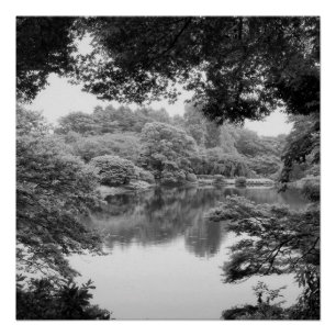 Poster Black and white, cool, unique nature et lake