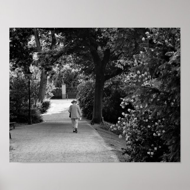 Poster Black and white photo of old man at park (Devant)