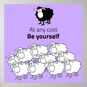 Poster Black and white sheep