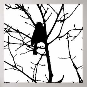 Poster Black and White Silhouette of chickadee in a tree
