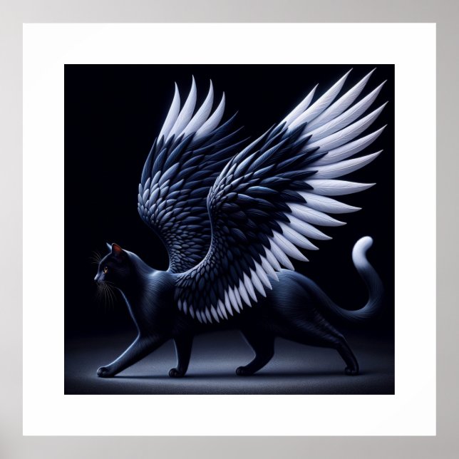 Poster Black Angel Chat photo prise (Devant)