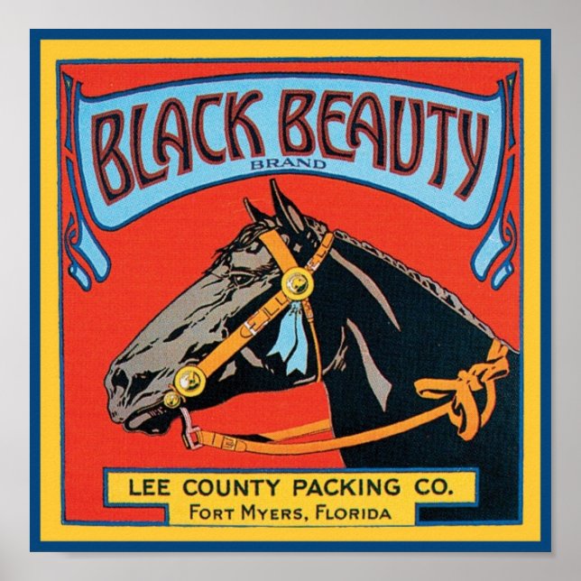 Poster Black Beauty Vintage Crate Étiquette - Cheval (Devant)