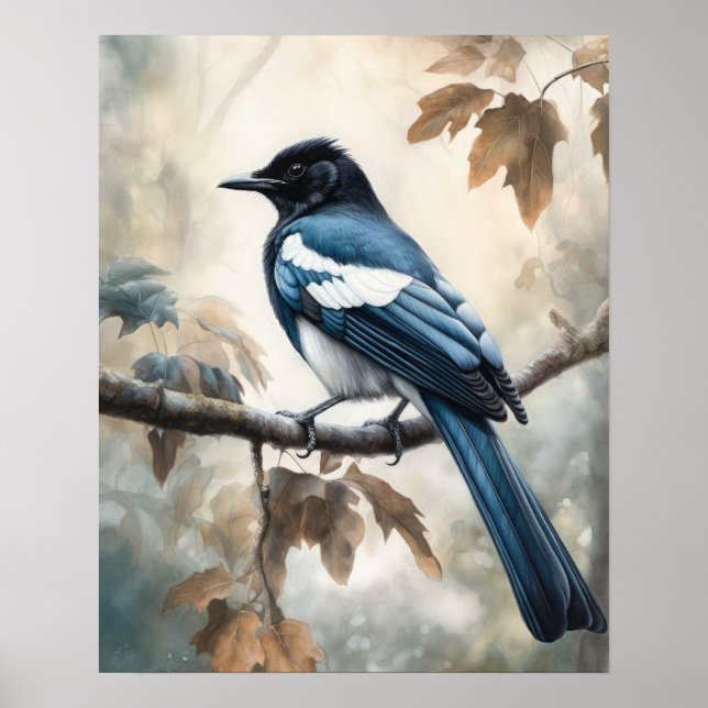 Poster Black Billed Magpie Oiseau Art Imprimer l'affiche (Devant)