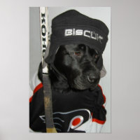 Poster Black Biscuit Flyers