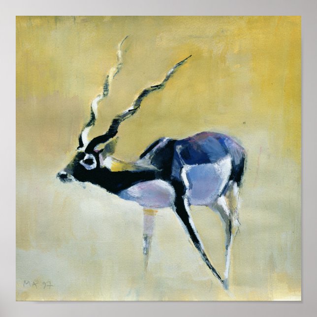 Poster Black Buck Velavadar 1997 (Devant)