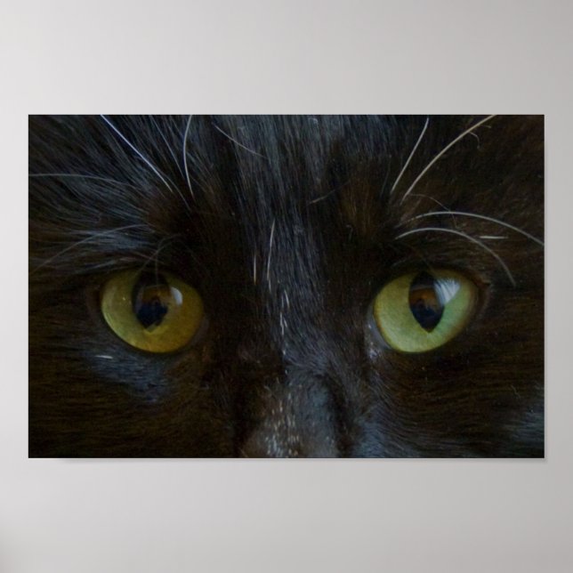 Poster: Black Cat Eyes Poster (Front)