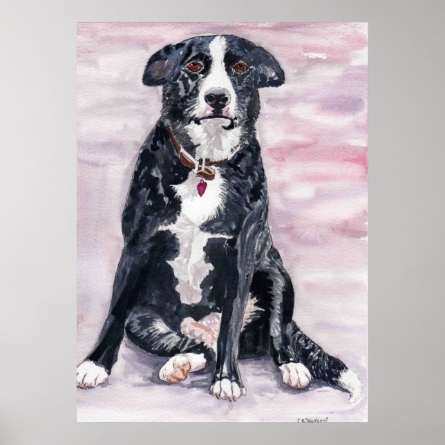 Poster 'Black Dog' (Devant)