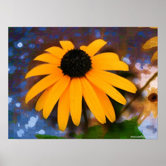 Poster Black Eyed Susan (Devant)