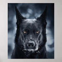 Black German Shepherd