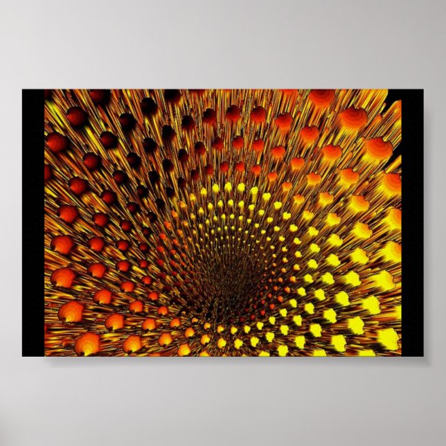 Poster Black Hole Spider Web (Devant)
