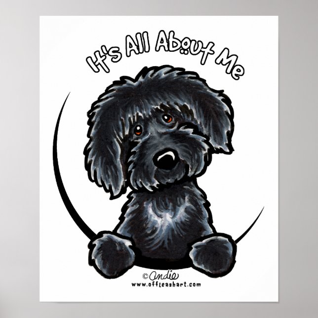 Poster Black Labradodle IAAM (Devant)