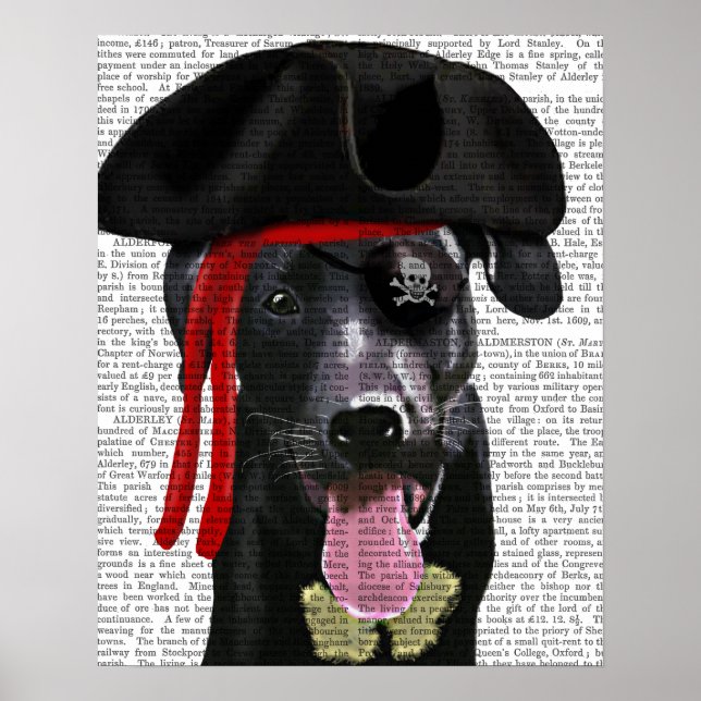 Poster Black Labrador Pirate (Devant)