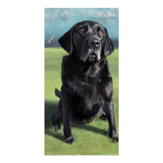 Poster Black Labrador Retriever Arleigh on the Coast Art
