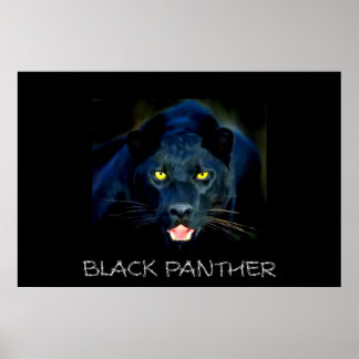 Poster Black Panther