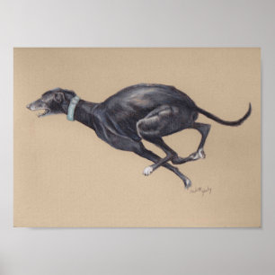 Poster Black Running Greyhound Dog Art Imprimer