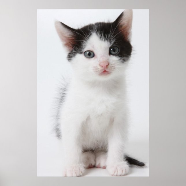 Poster Black Spotted (Devant)