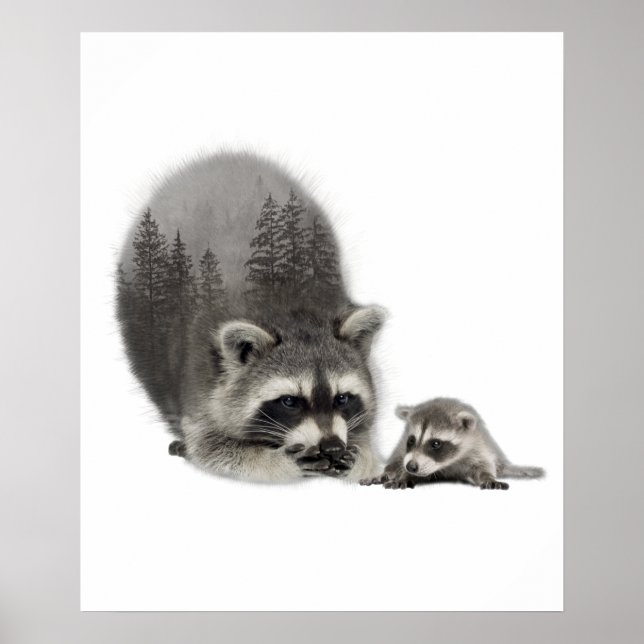 Poster Black White Cute Raccoon avec bébé (Devant)