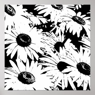 Poster Black&White Daisies