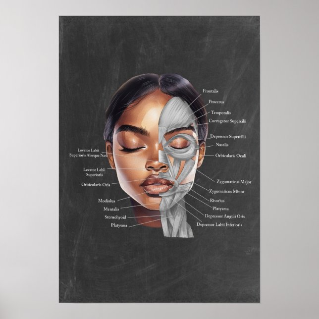 Poster Black Woman Beauté Anatomie faciale Art (Devant)