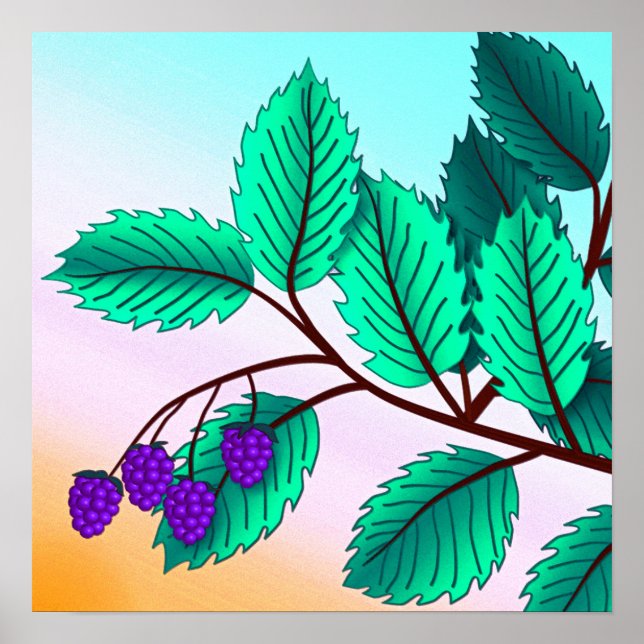Poster Blackberries sur une branche (Devant)