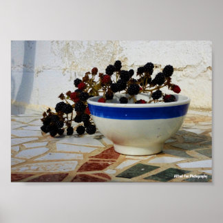 Poster Blackberry Bowl sur Mosaic