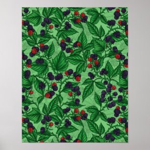 Poster Blackberry en vert